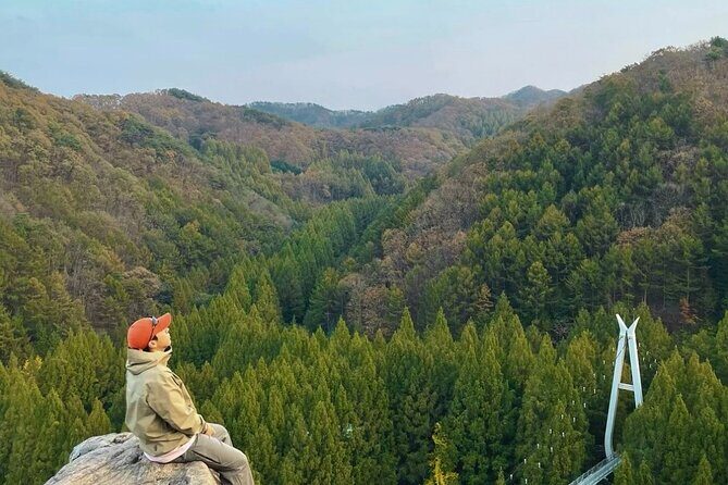 Suwon Hwaseong Fortress & Jangtaesan Full-Day Tour: Autumn Leaves - An in-depth Look at the Tour Experience