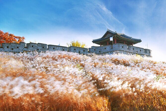Suwon Hwaseong Fortress Tour from Seoul - What Makes This Tour Stand Out?