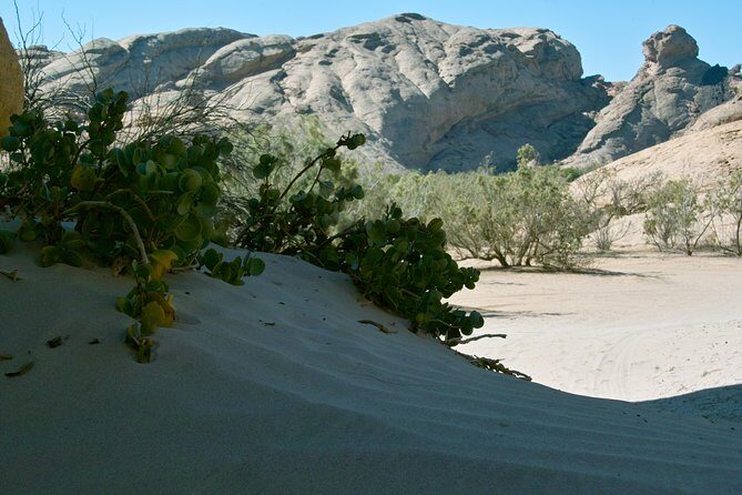 Swakop River Valley & Spitzkoppe Full Day 4x4 tour from Walvis Bay - The Itinerary: A Day in Namibia’s Wild Heart