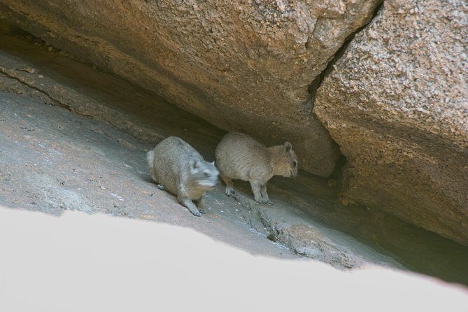 Swakop River Valley & Spitzkoppe Full Day 4x4 tour from Walvis Bay - The Sum Up: Is This Tour Right for You?