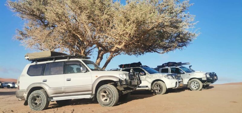 swakopmund city tour dune 7 pink lake pink flamingos - Exploring Swakopmund: What’s on the Itinerary?