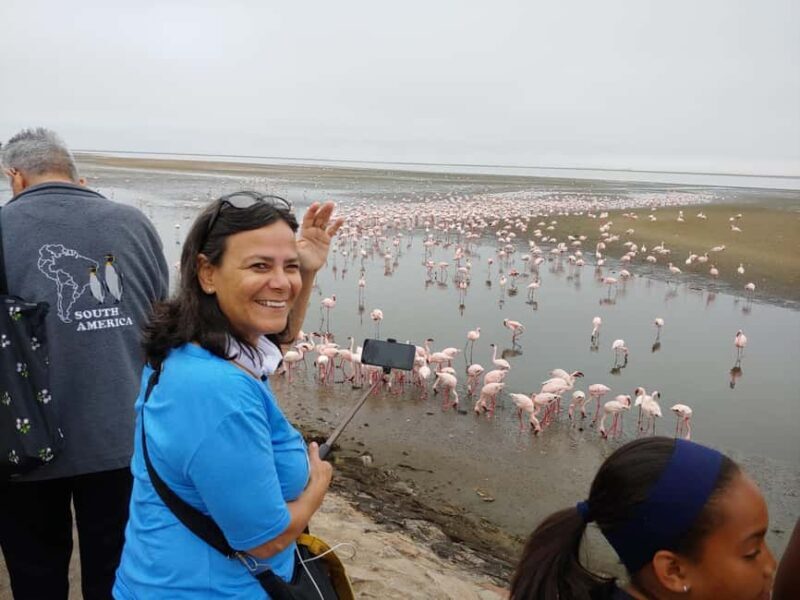 swakopmund city tour dune 7 pink lake pink flamingos - FAQ