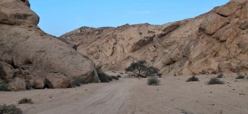 Swakopmund: Treasures of the Moonlandscape - Who Will Enjoy This Tour Most?