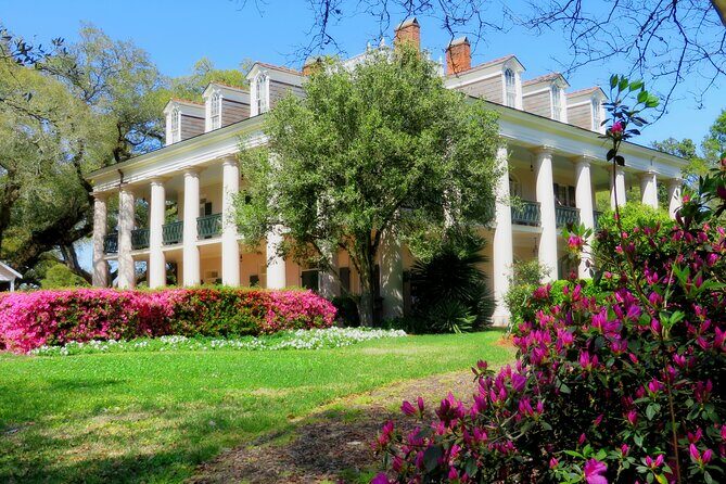 Swamp Boat Ride and Oak Alley Plantation Tour from New Orleans - Key Points