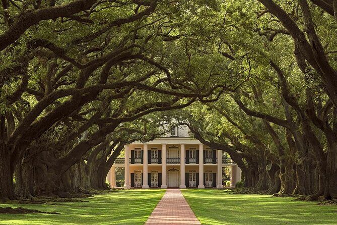 Swamp Boat Ride and Oak Alley Plantation Tour from New Orleans - Who Will Love This Tour?