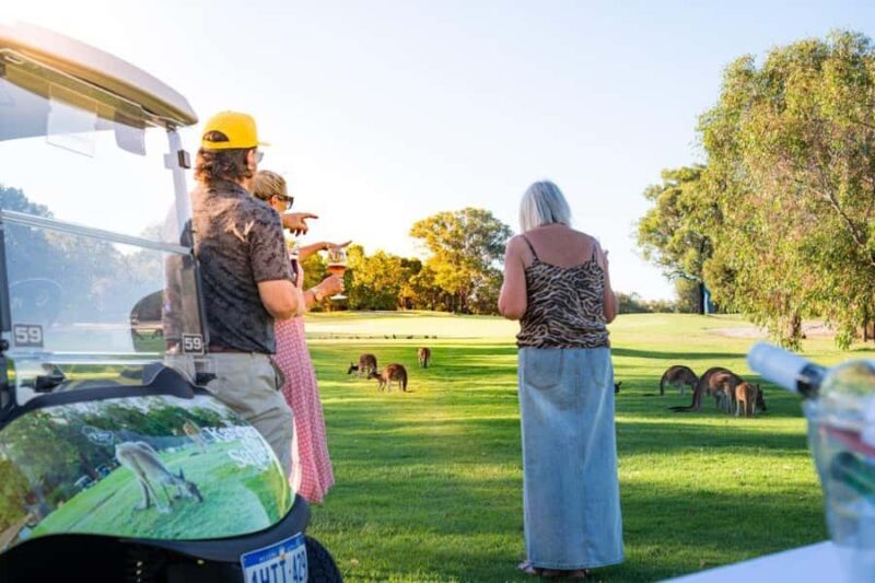 Swan Valley: Golf Cart Kangaroo Safari w/ Mini Golf & Drink - A Practical Guide to the Swan Valley Safari Experience