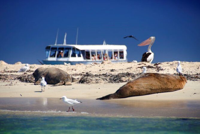 Swan Valley Wine Cruise - Practical Details and Considerations