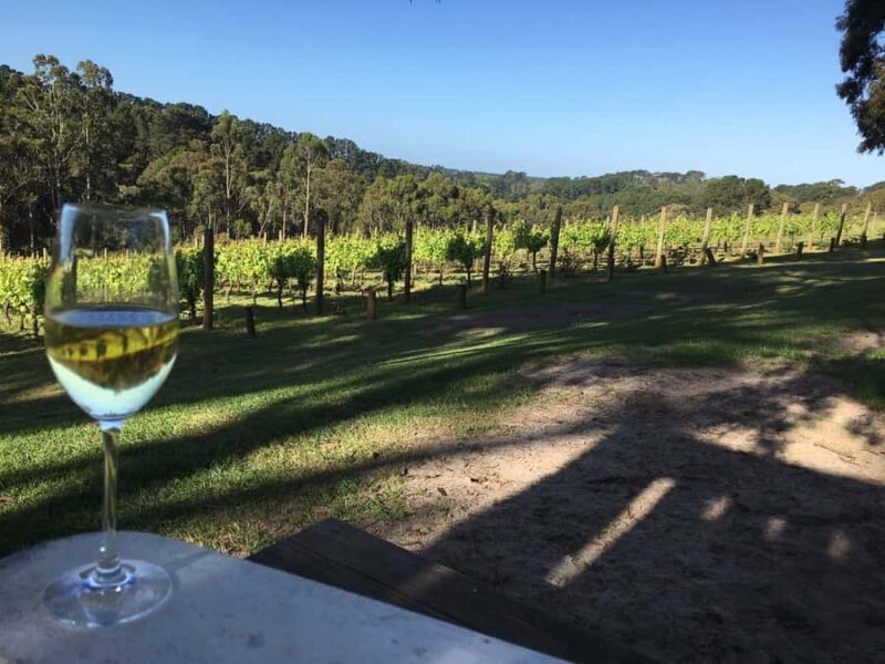 Swan Valley Wine Discovery: Private Tour from Perth - FAQ