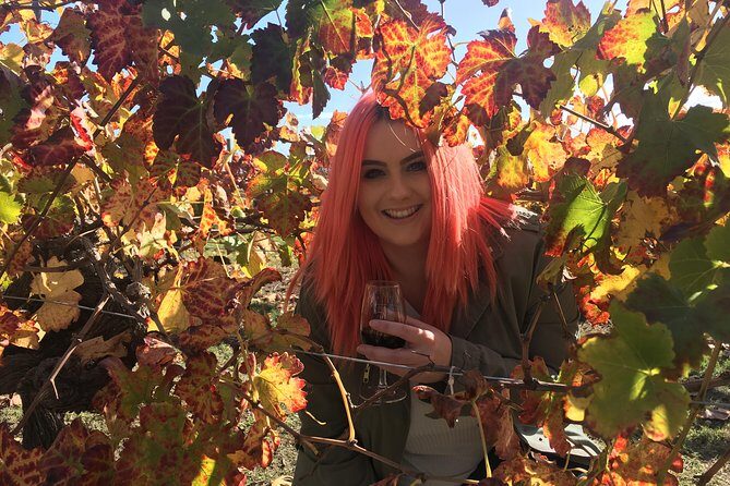 Swan Valley Winery Experience - Full Day Coach Tour - Key Points