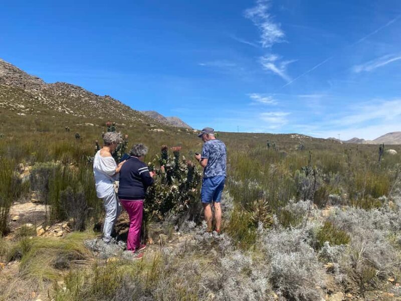 Swartberg: Half Day Hiking Adventure - Final Thoughts