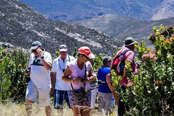 Swartberg Pass Tour including Traditional Karoo Lunch - An Introduction to the Experience