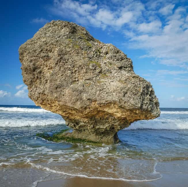 Sweet Life Island Tours - Key Points