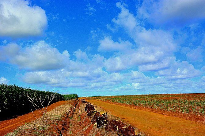 Sweet Scenic 30KM - The Sum Up