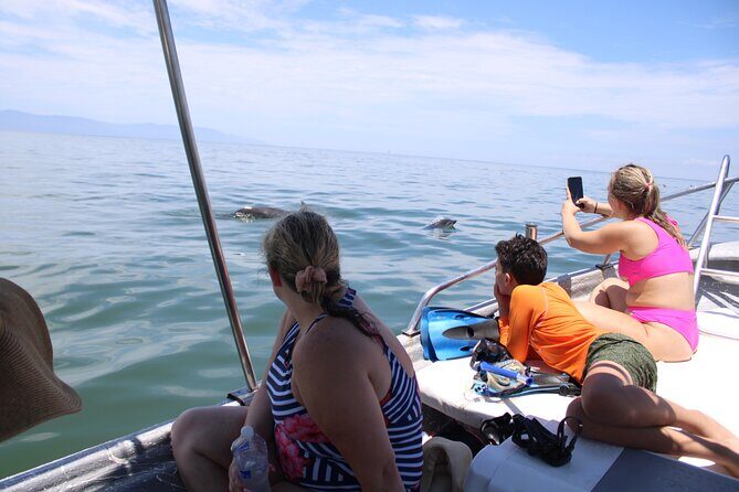 Swim and Paddle Board with Wild Dolphin Pods in Puerto Vallarta - An In-Depth Look at the Experience