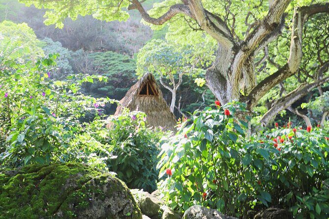 Swim at Oahu Waterfall in Waimea with Coffee, Lunch and Dole - The Sum Up