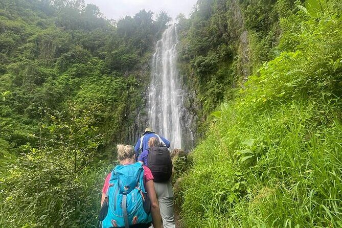 Swim to Materuni and Kikuletwa Hotspring - The Sum Up