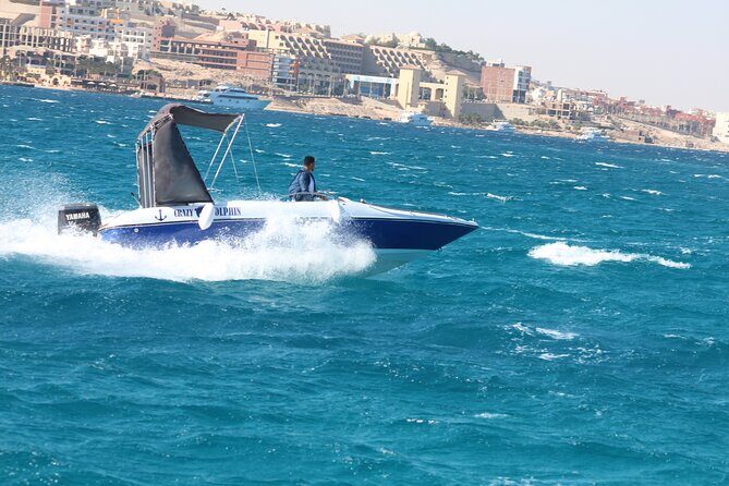 Swim with dolphin By Private Speed Boat and Sub wing Game - Hurghada - An In-Depth Look at the Hurghada Dolphin Swim Tour