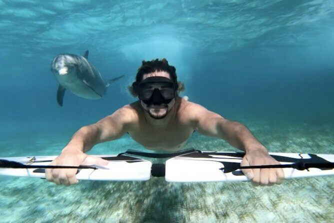 Swim with dolphin By Private Speed Boat and Sub wing Game - Hurghada - Final Thoughts: Is It Worth It?