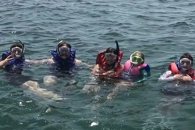 Swim with Dolphins And Snorkeling Group Tour - What You Can Expect from the Itinerary