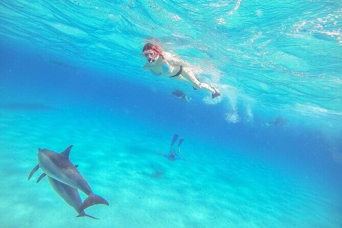 Swim with Dolphins & Snorkeling in Hurghada Boat Trip & Lunch - FAQ