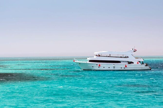 Swim with Dolphins & Snorkeling in Hurghada Boat Trip & Lunch - Wrapping It Up