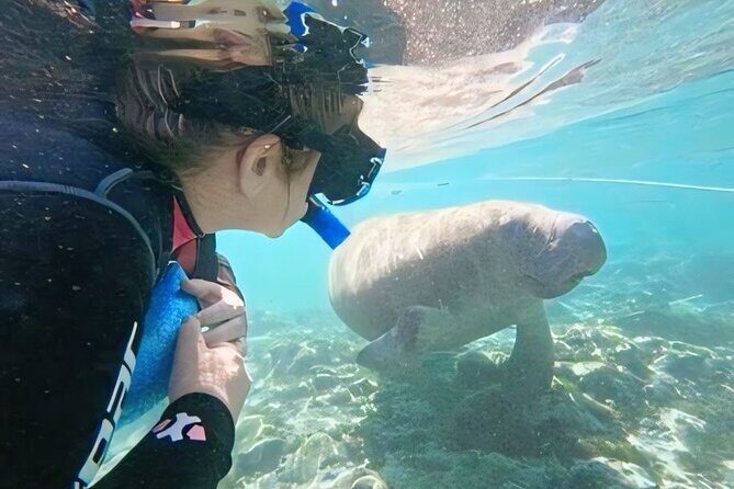 Swim With Manatees-Private Tour with In Water Guide/Photographer - The Scenic and Educational Experience