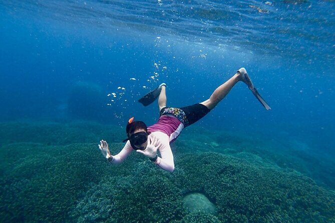 Swim With Manta Rays Snorkeling Nusa Penida - Final Words