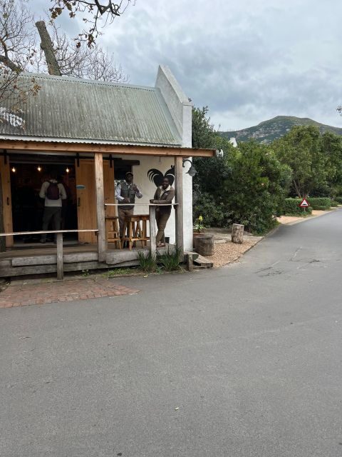 Swim with Penguins at Boulders Beach Penguin Colony - FAQ
