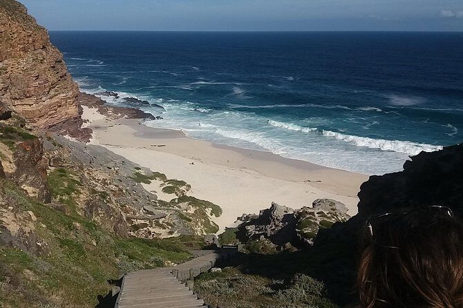 Swim with Penguins At Boulders Chapman's Peak Exc Entry Fees - Practical Aspects: Transportation, Duration, and Costs