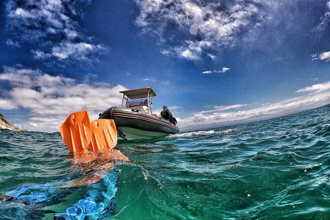 Swim with Seals - A Practical Look at the Experience