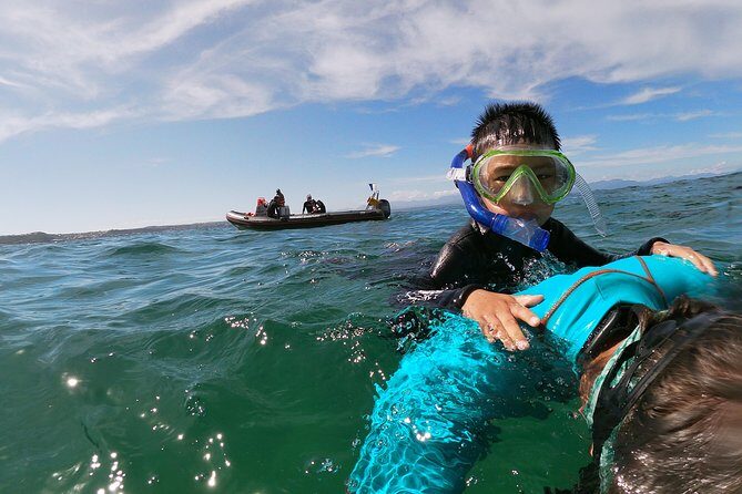 Swim with Seals - Who Should Consider This Tour?