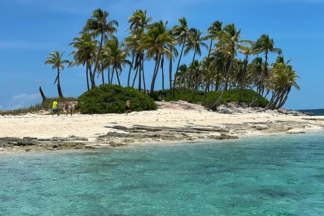 Swim with the Pigs Safari in Bahamas (2hrs) - A Complete Look at the 2-Hour Bahamas Boat Tour