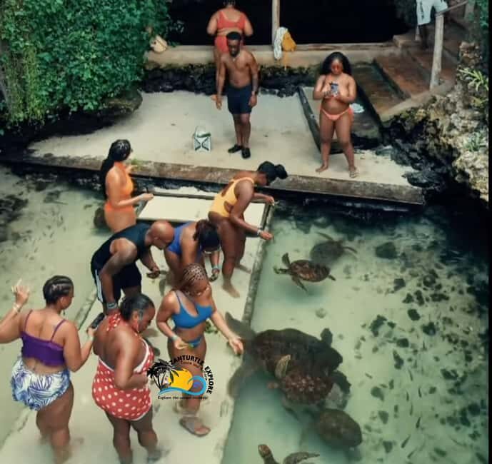 Swim with Turtles at The Lagoons Zanzibar & Stone Town Tour - FAQs