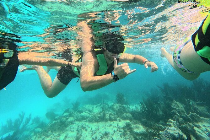 Swim with Turtles in Akumal + GoPro Photo Session - Discovering Akumal’s Underwater World