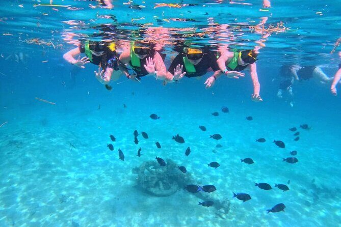 Swim with Turtles in Akumal + GoPro Photo Session - Who Will Love This Tour?