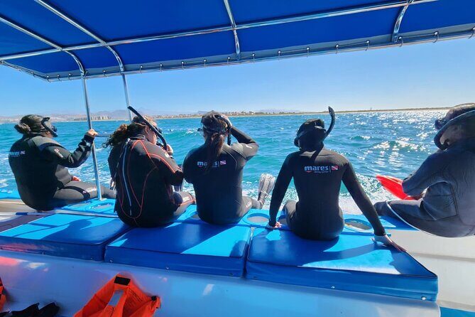 Swim with Whale Sharks in La Paz - The Value of What’s Included