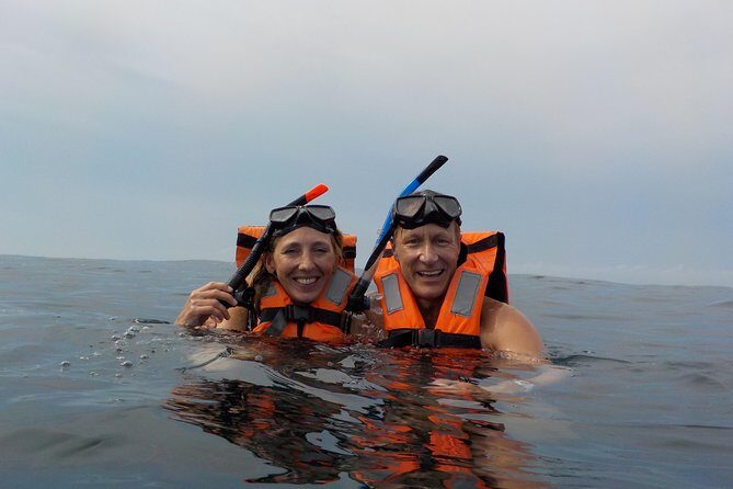 Swim with whale sharks on a private tour - Why This Tour Works for You