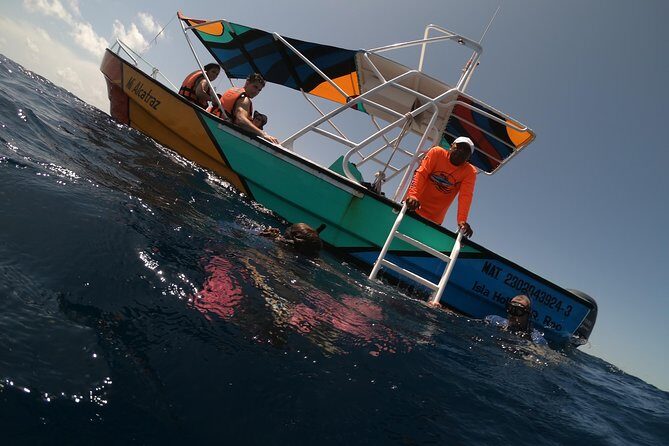 Swim with whale sharks on a private tour - Frequently Asked Questions