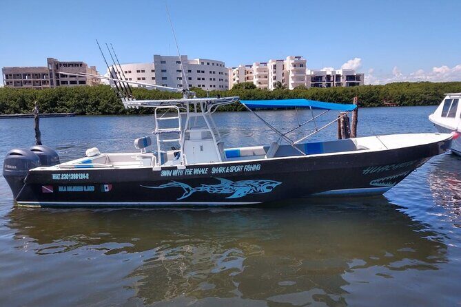 Swim with Whale Sharks Private tour from Playa del Carmen - The Marina and Light Breakfast