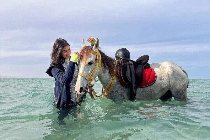 Swimming by Horse 3 Hours ,Beach, Desert & Dinner - Hurghada - Key Points