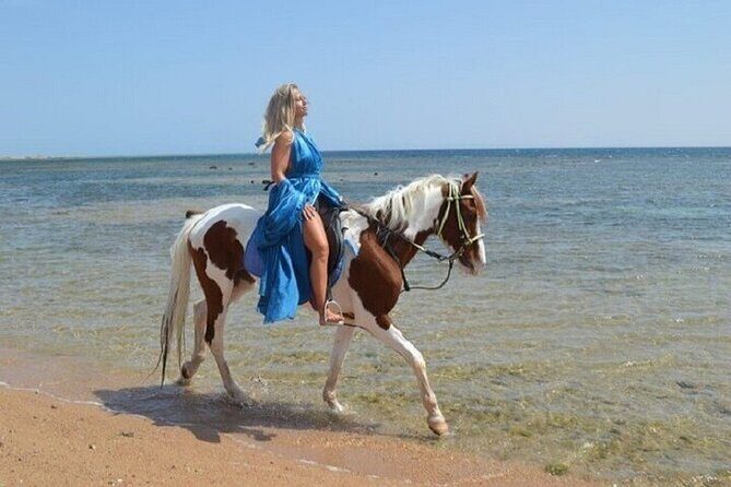 Swimming by Horse 3 Hours ,Beach, Desert & Dinner - Hurghada - A Close Look at the Itinerary