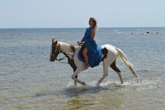 Swimming by Horse 3 Hours ,Beach, Desert & Dinner - Hurghada - Who Should Book This Tour?