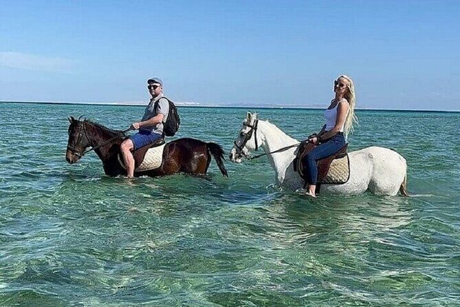 Swimming by Horse 3 Hours ,Beach, Desert & Dinner - Hurghada - Final Thoughts