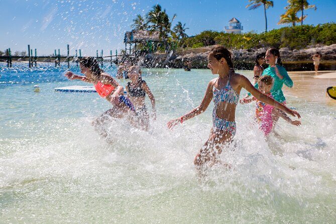 Swimming Pigs and Pearl Island Beach Escape - Who Will Love This Tour?