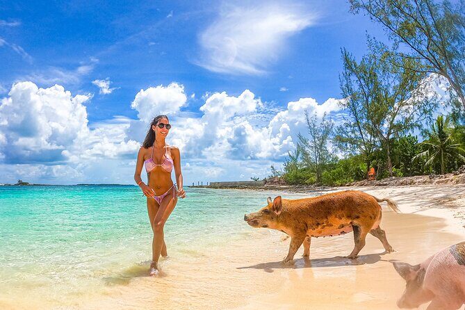 Swimming Pigs and Pearl Island Beach Escape - FAQ