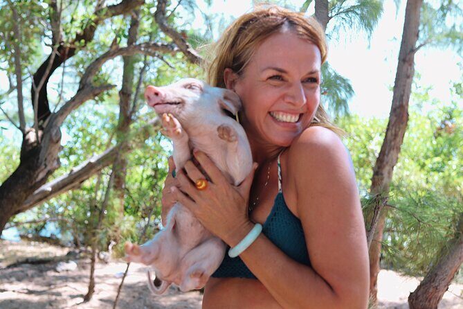 Swimming Pigs & ATV Tour - The Itinerary: What You Can Expect
