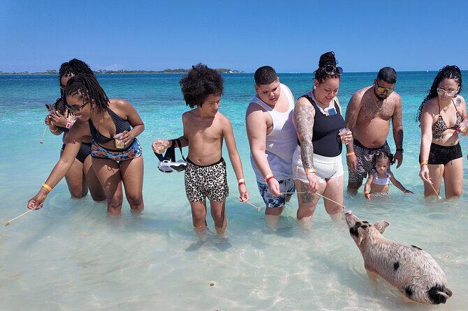 Swimming Pigs, Snorkeling and Beach Tour in Nassau Bahamas - An In-Depth Look at the Nassau Water Adventure