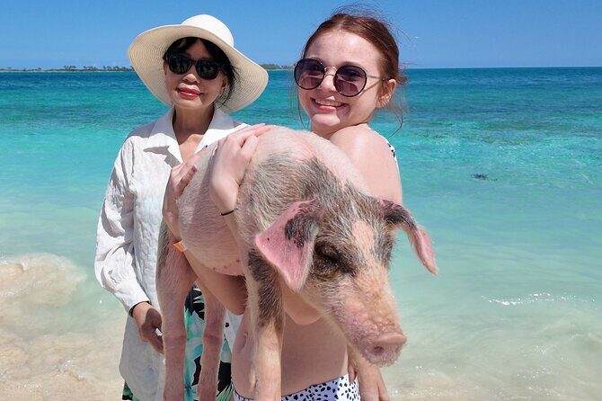 Swimming Pigs, Snorkeling and Beach Tour in Nassau Bahamas - FAQ