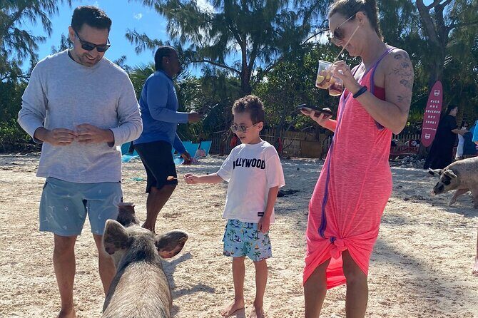 Swimming Pigs, Turtles & Reef Snorkel in Nassau-Champion Tours - How the Tour Works: Step-by-Step