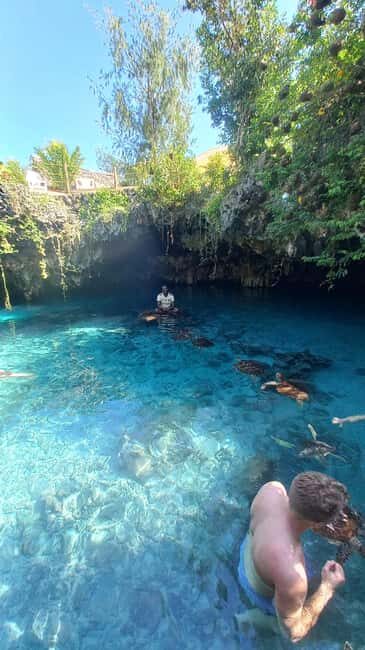 Swimming with dolphins in kizimkazi +snorkeling - FAQ